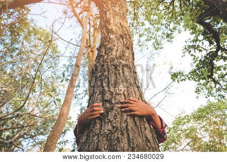 Hug Big Tree,symbolizing The Connection Between Humans And Nature. Concept Nature And People.