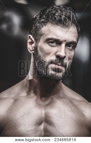 Sexy Strong Bodybuilder Athletic Men Pumping Up Muscles With Dumbbells