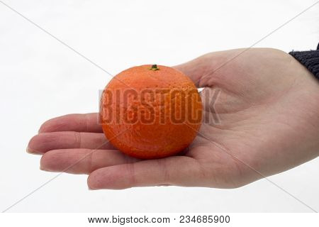 Mandarin In Hand Against The Background Of Snow