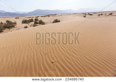 Sand Dune. Wadi Araba Desert. Jordan