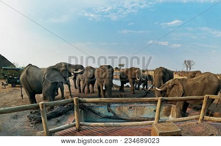 Nehimba Camp, Hwange National Park, Zimbabwe, October 2016. Elephants Are Regular Visitors To The Ca