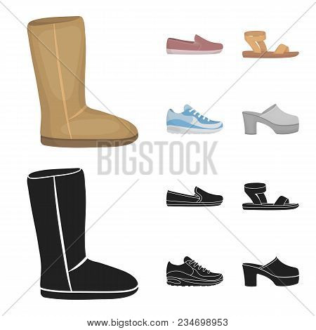 Beige Ugg Boots With Fur, Brown Loafers With A White Sole, Sandals With A Fastener, White And Blue S