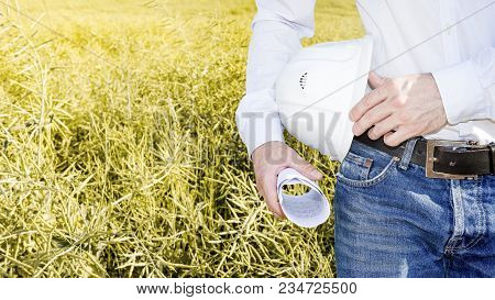 Engineer With White Helmet And Drawings In Hand Close-up. Builder Against Background Of Yellow Field