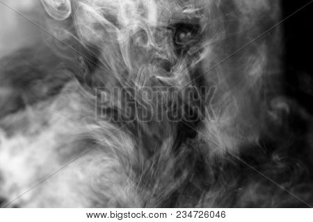 Smoke Texture For Designers Works - Abstract Photo Texture Of The Real Smoke On The Black Background