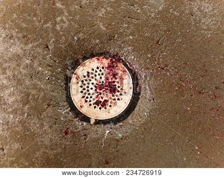 Kitchen Drain Clogging Up With Scales, Blood And Food Particles, Waste Drain In Fish Slaughter Board