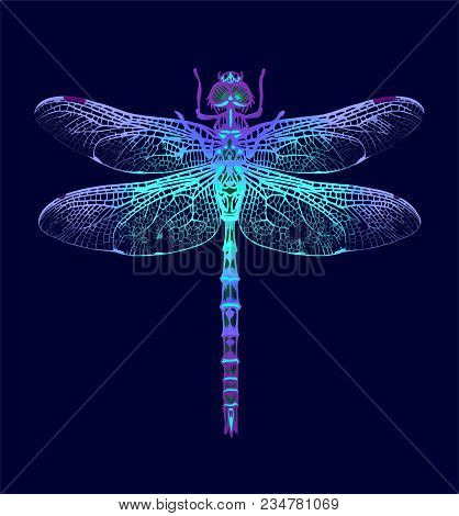 Dragonfly. Vector Seamless Pattern. Dark Blue Backgrounds. Summer Night.