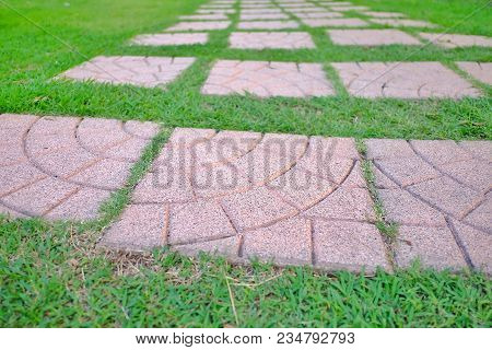 Cement Walkway Ground Floor On Green Grass Field At The Backyard With Decoration Outdoor Space At Th