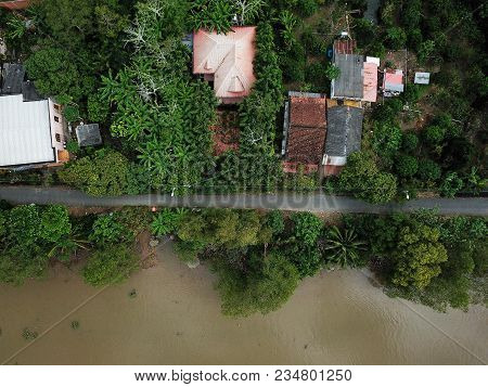 Rain Forest Paradise Background, Shot With A Drone, Down Facing Shot, Surrounded By Palm Trees, Rain