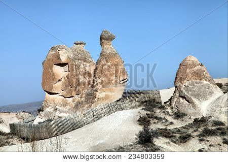 Camel Shaped Stone In Devrent Valley, Cappadocia