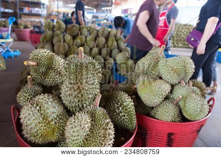 Durian King Of Fruit