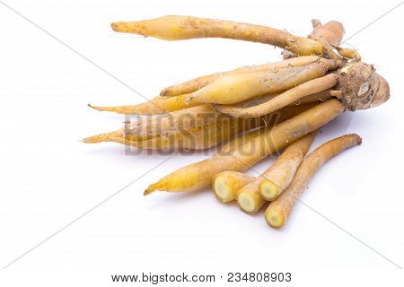 Finger Root Ingredients For Thai Cuisine And Thai Herb On White Background