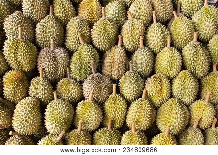 Durian King Of Fruit
