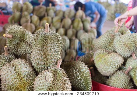 Durian King Of Fruit