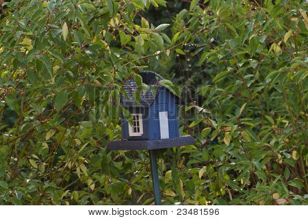 Birdhouse Dogwoods