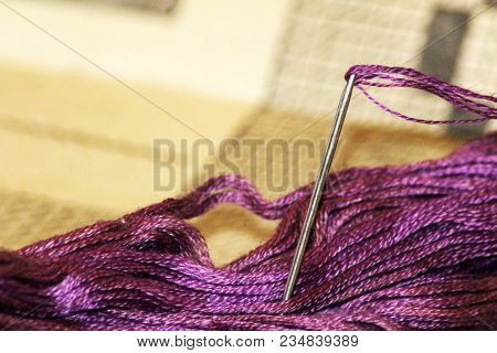Needle And Purple Floss Floss, Close