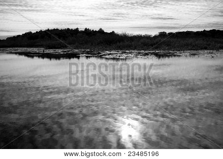Walden Pond