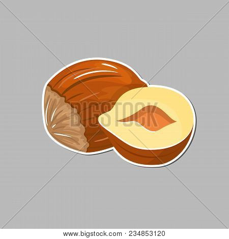 Hazelnut Colored Icons In Cartoon Design. Hazelnut Sticker For Your Design. Vector Stock. Isolated W