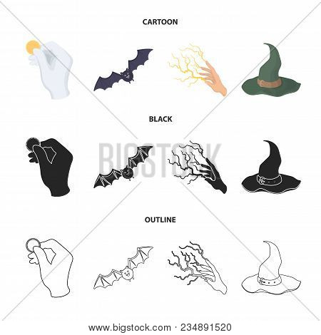Focus With A Coin, A Bat, A Mage Hat, A Lightning-fast Spell.black And White Magic Set Collection Ic
