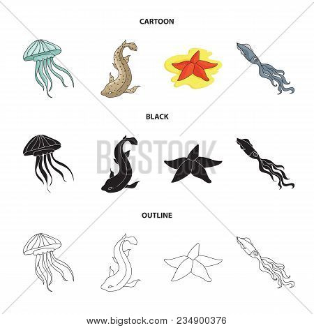 Jellyfish, Squid And Other Species.sea Animals Set Collection Icons In Cartoon, Black, Outline Style