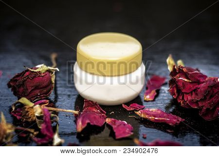 Close Up Of Cream Rose Or Gulab Or Rosa With Fresh Petals Of Rose On Black Wooden Surface It Is An A