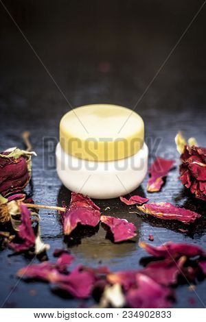 Close Up Of Cream Rose Or Gulab Or Rosa With Fresh Petals Of Rose On Black Wooden Surface It Is An A