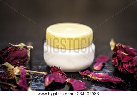 Close Up Of Cream Rose Or Gulab Or Rosa With Fresh Petals Of Rose On Black Wooden Surface It Is An A