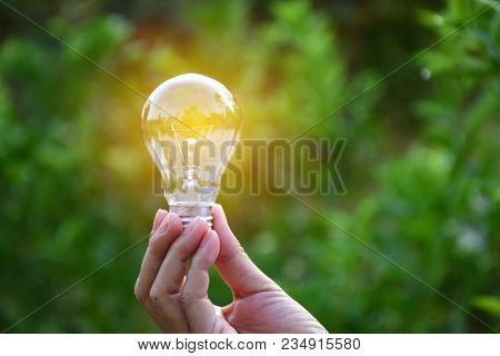 Hand Holding Bulb In Nature On Green Background.