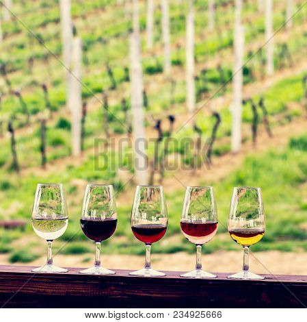 Glasses With Wine. Red, Pink, White Wine In Glasses. Set Of Glasses With Red, White And Rose Wine Ta