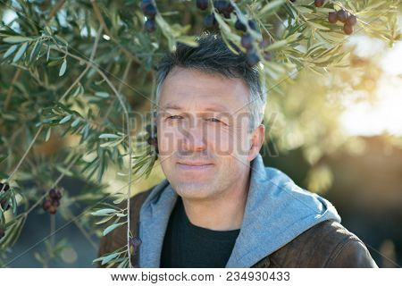 Handsome man posing in olive trees garden. Male portrain over mediterranean olive field ready for harvest. Confident mature man in spanish olive's grove with ripe fresh olives.