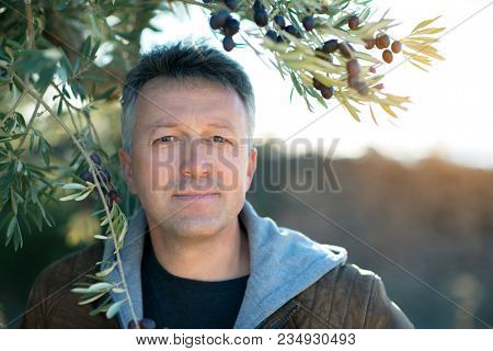 Handsome man posing in olive trees garden. Male portrain over mediterranean olive field ready for harvest. Confident mature man in spanish olive's grove with ripe fresh olives.