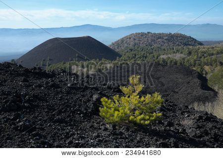 cooled lava and volcanic cones of Mount Nuovo and Mount Lepre in Etna Park, Sicily 