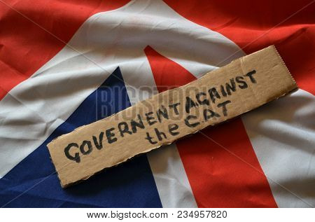 The scandal about poisoning of former Russian spy and killing his cat. Animal abuse.Concept. British Flag background.