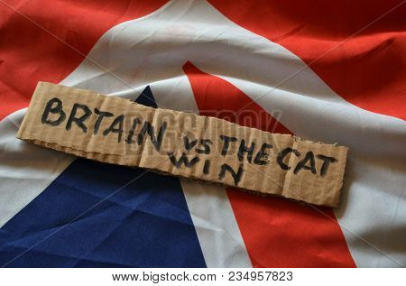 The scandal about poisoning of former Russian spy and killing his cat. Animal abuse.Concept. British Flag background.