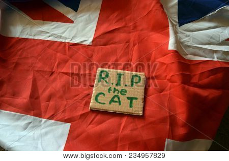 The scandal about poisoning of former Russian spy and killing his cat. Animal abuse.Concept. British Flag background.