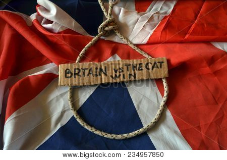 The scandal about poisoning of former Russian spy and killing his cat. Animal abuse.Concept. British Flag background.