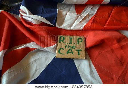 The scandal about poisoning of former Russian spy and killing his cat. Animal abuse.Concept. British Flag background.