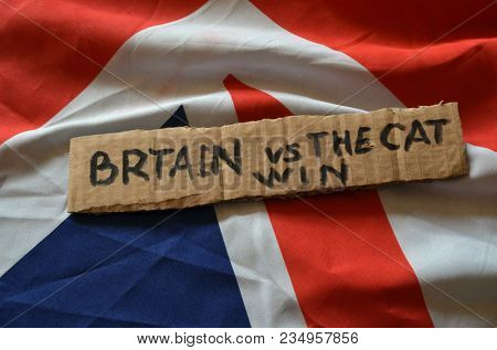 The scandal about poisoning of former Russian spy and killing his cat. Animal abuse.Concept. British Flag background.