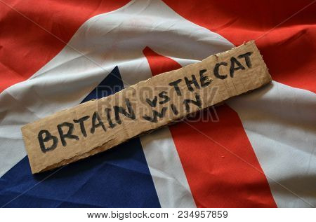 The scandal about poisoning of former Russian spy and killing his cat. Animal abuse.Concept. British Flag background.