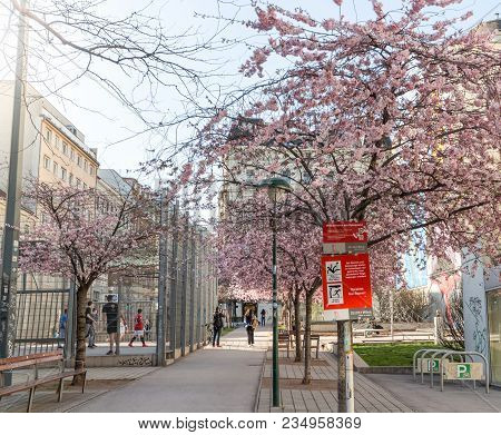 Spring In The City