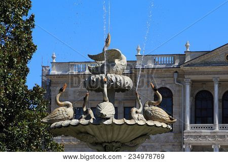 Istanbul, Turkey - September 13, 2017: This Is A Fragment Of The Swan Fountain In The Park Dolmabahc