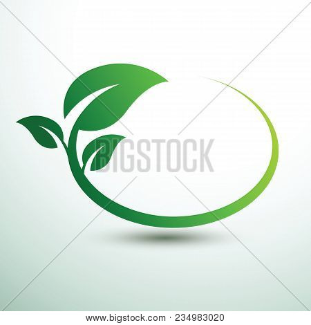 Green Labels Concept With Leaves Oval Shape,vector Illustration