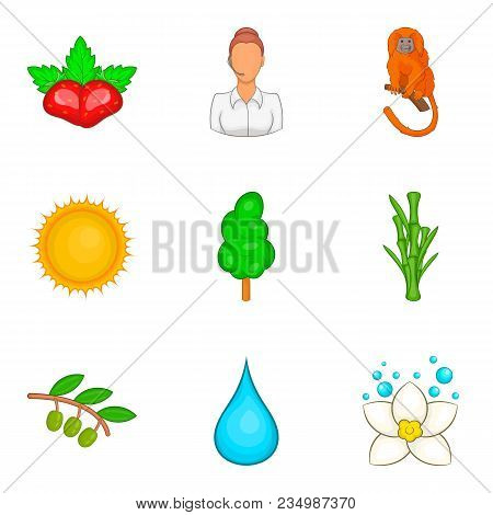 Tropical Beast Icons Set. Cartoon Set Of 9 Tropical Beast Vector Icons For Web Isolated On White Bac