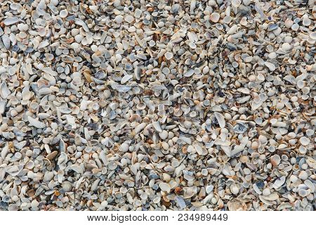 Texture Backdrop Background Shallow Small Various Bright Smooth And Embossed Light, Gray, Pastel, Br