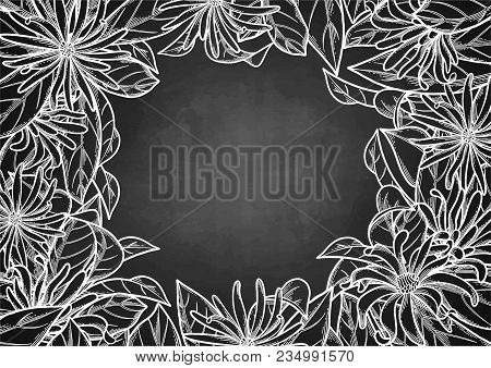 Graphic Star Anise. Vector Natural Design On The Chalkboard Background