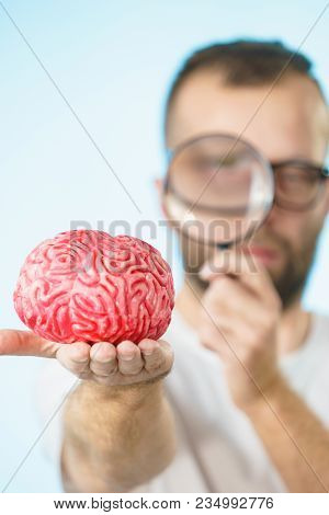 Adult Nerd Man Wearing Eyeglasses Looking At Human Brain Model. Thinking And Intelligence Conept