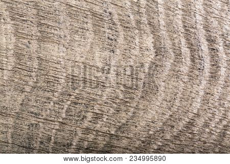Close-up Of Dark Gray Wood Bog Oak Composition. High Resolution Photo.