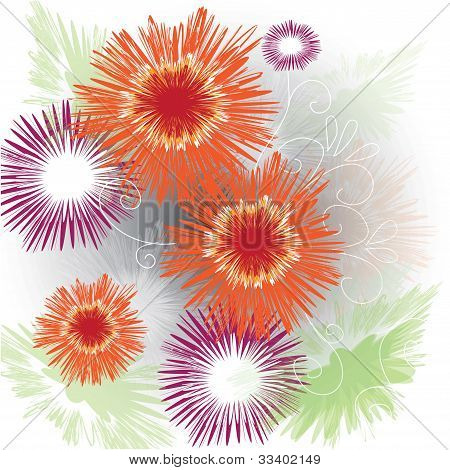 colorful flowers