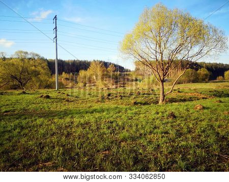 A Field With Many Holes Dug By Moles Against The Background Of The Forest And Blue Sky