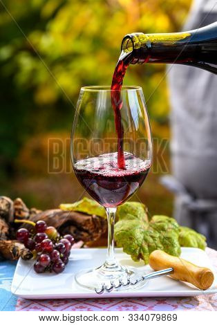Pouring Yound Red Beaujolais Wine In Glass During Celebration Of End Of Harvest And First Sale Relea