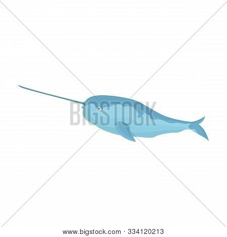 Narwhal Whale Vector Icon.cartoon Vector Icon Isolated On White Background Narwhal Whale.